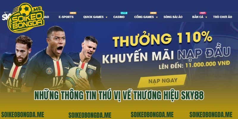 Những thông tin thú vị về thương hiệu Sky88