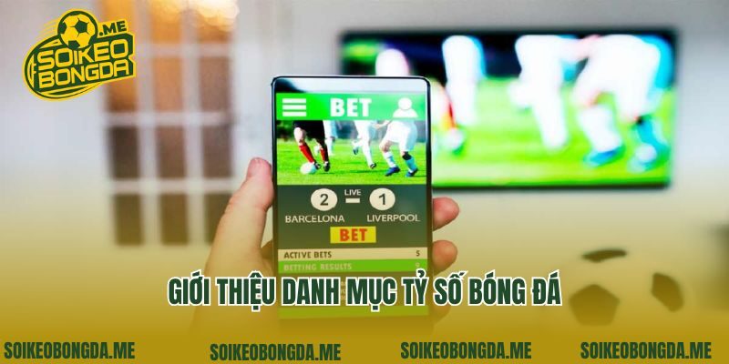 Giới thiệu danh mục tỷ số bóng đá