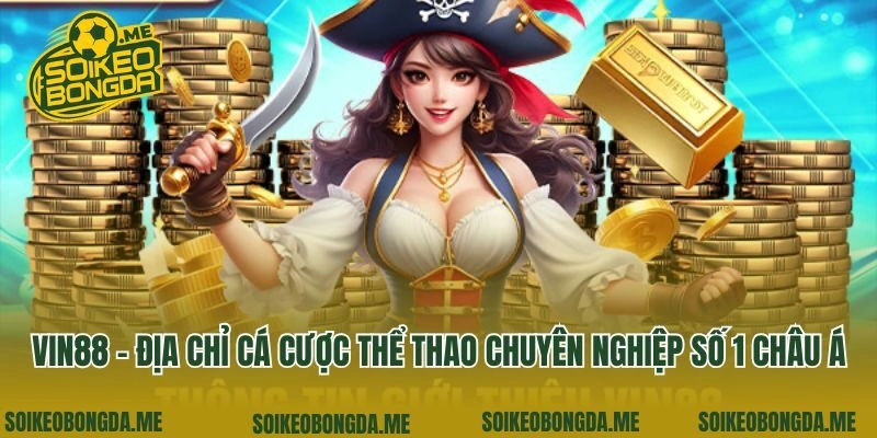 Vin88 - Địa Chỉ Cá Cược Thể Thao Chuyên Nghiệp Số 1 Châu Á