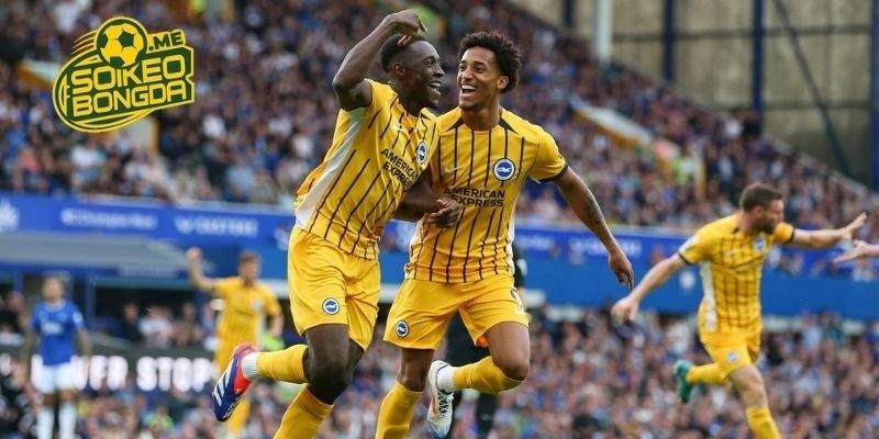 Tình hình phong độ của Brighton vs Everton