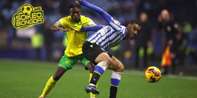 Tình hình phong độ của Norwich City vs Sheffield Wednesday