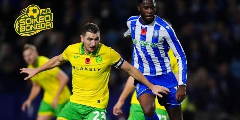 Lịch sử chạm trán của Norwich City vs Sheffield Wednesday