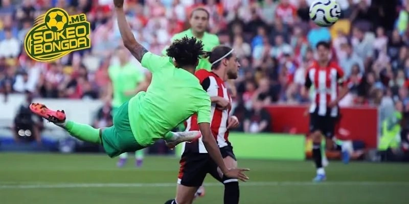 Phân tích, soi kèo Wolfsburg vs Hamburger SV trong giải Bundesliga 2026